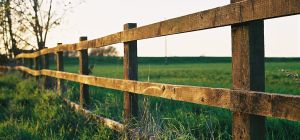 Sit a Spell and Have a Chat