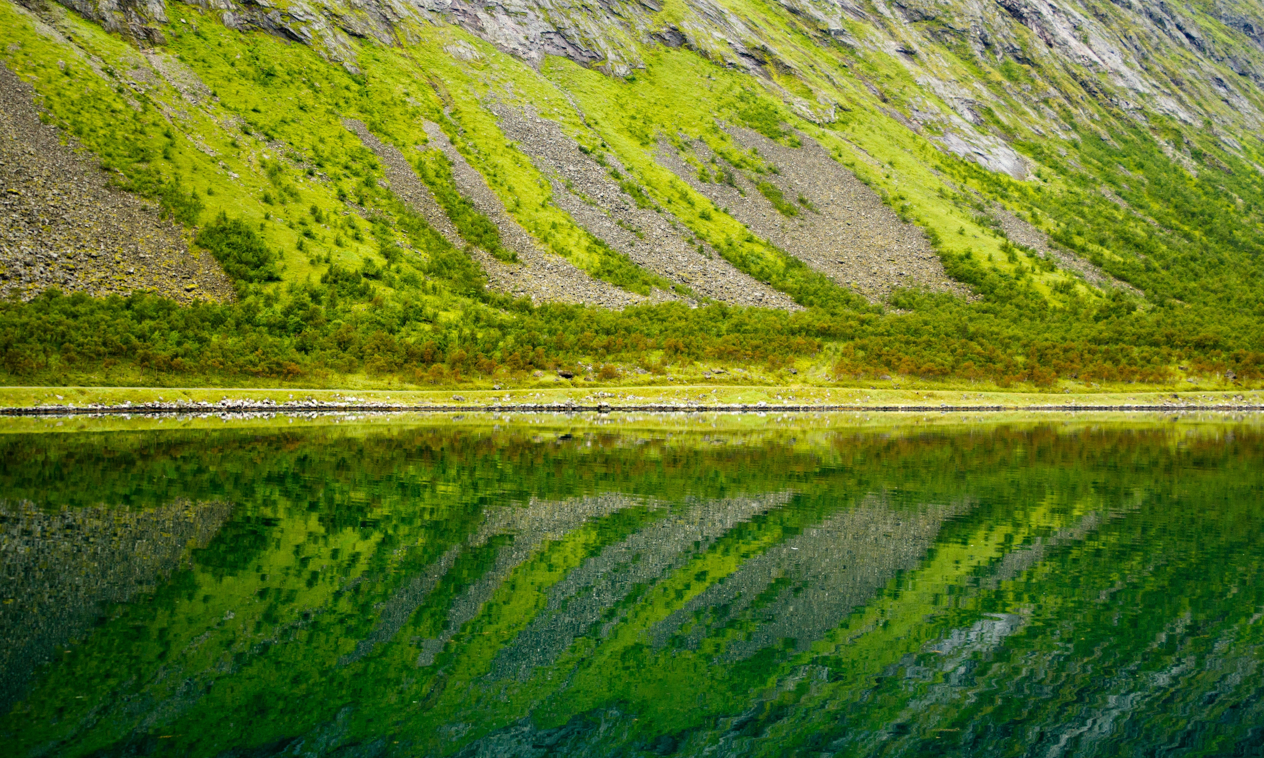 Green Reflection