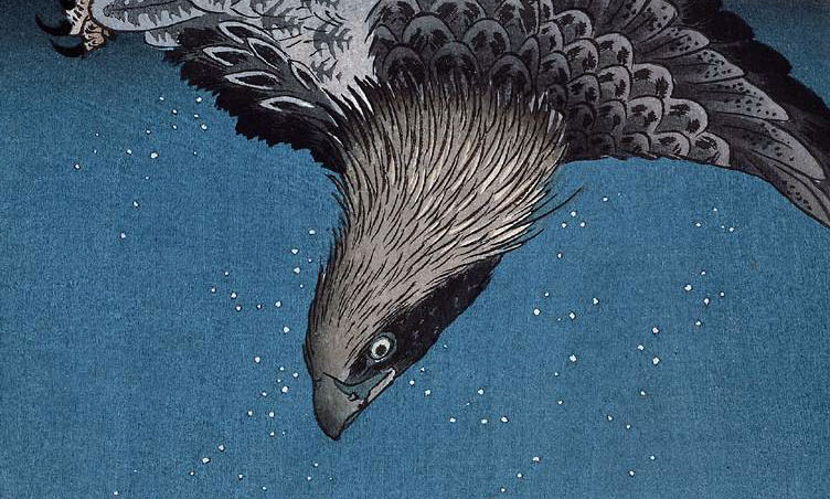 An eagle