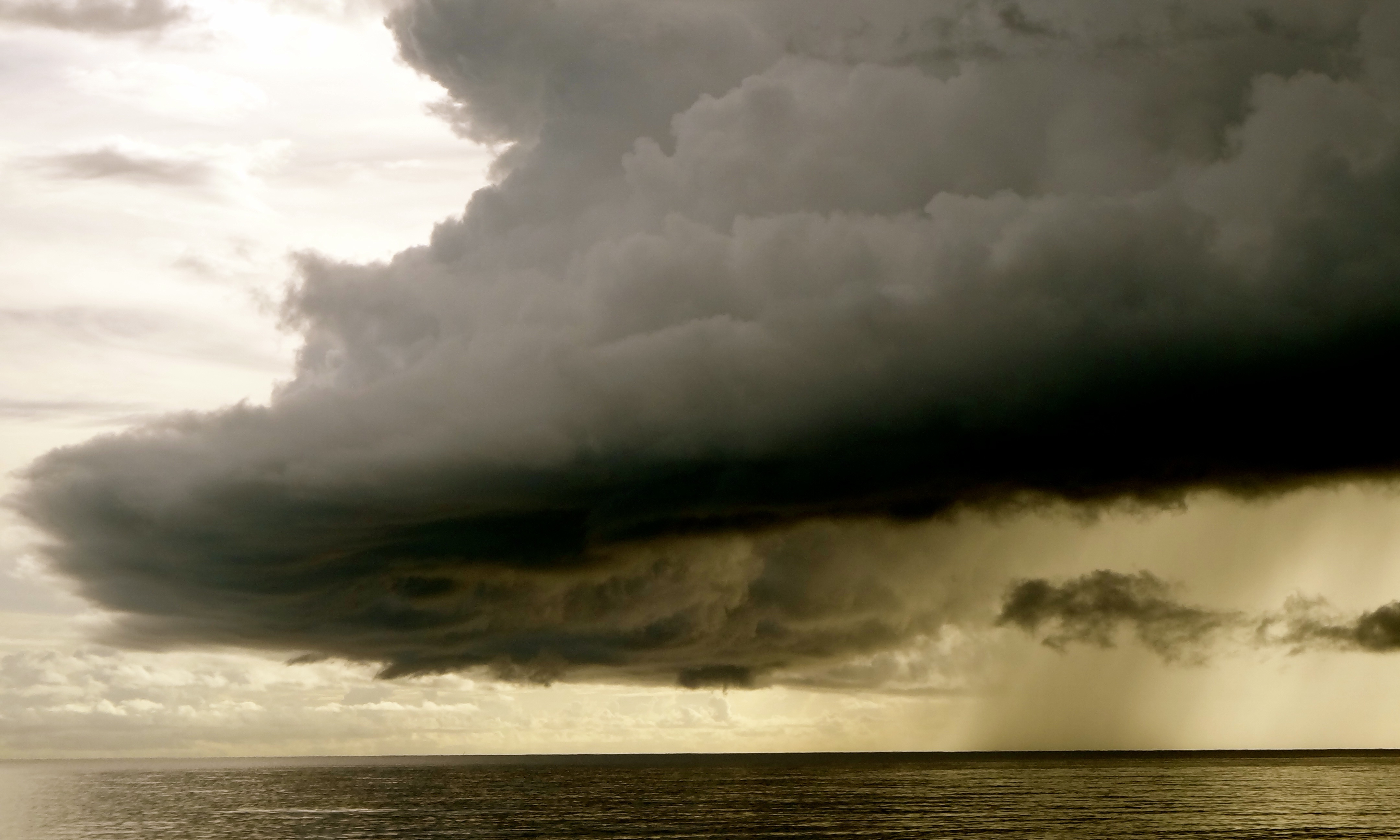 A storm cloud. Image by Timothy Ah Koy