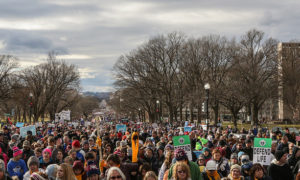 Fr. Lawrence Lew, O.P., March for Life: the Crowd (used with permission)