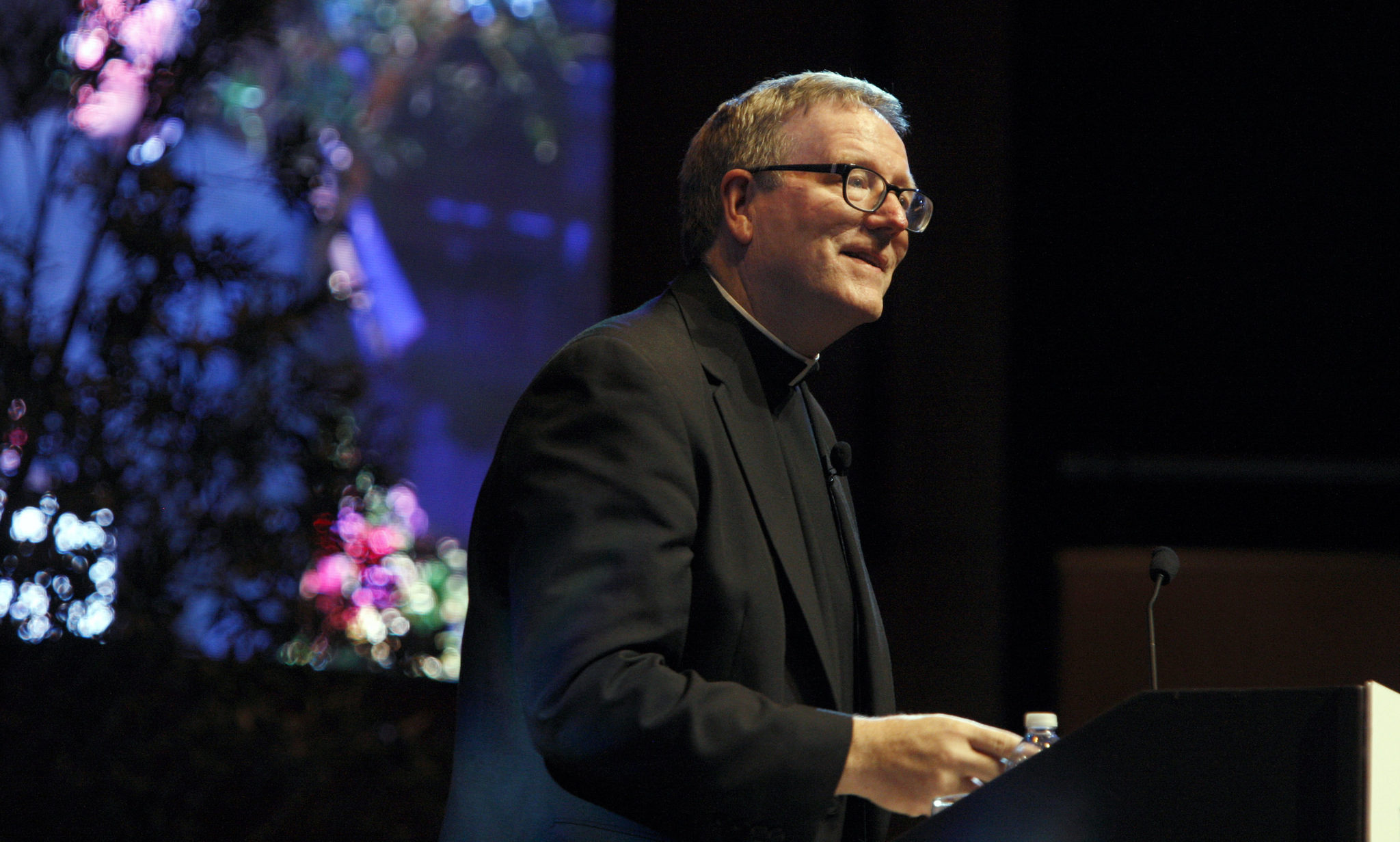 Dominican Foundation, Robert Barron