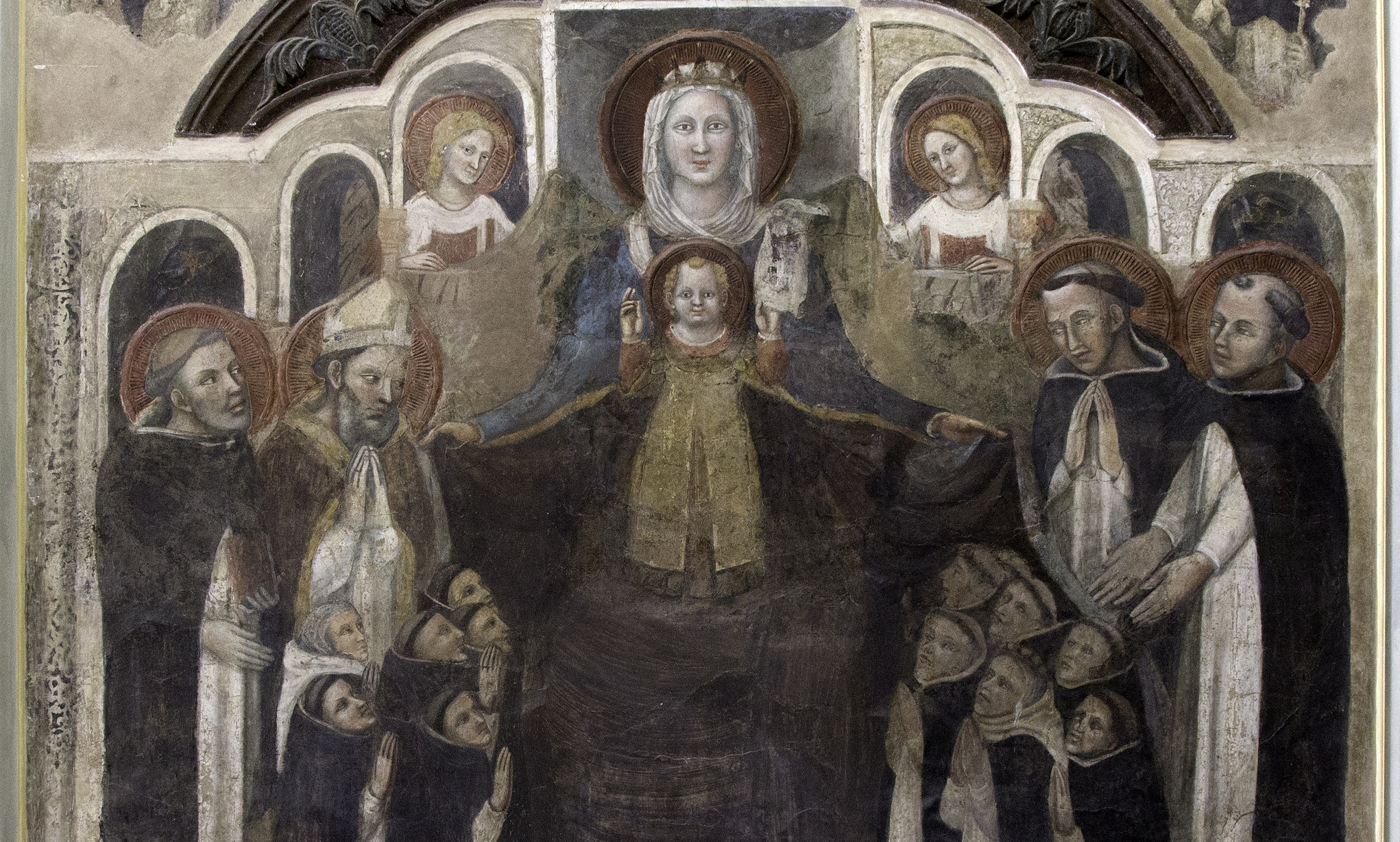 All Dominican Saints