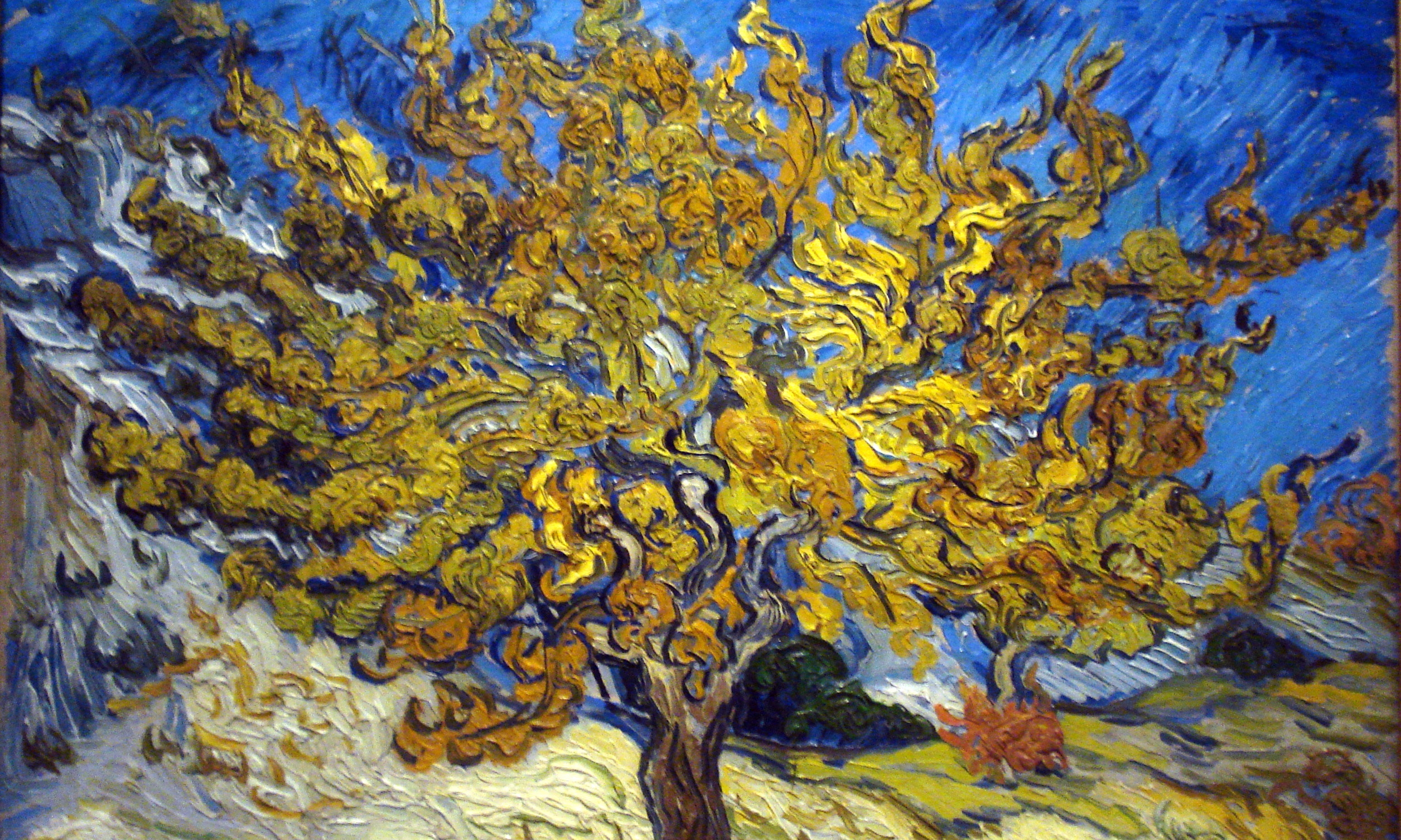 Image: Vincent Van Gogh, Mulberry Tree in Autumn