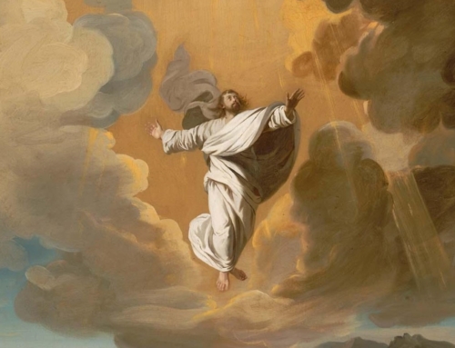 To Ascend, You Must Embrace the Descent