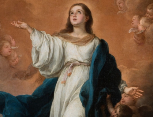 What Comes Down Must Go Up