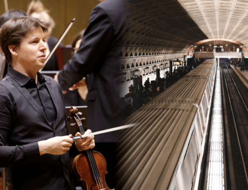 Stop and Hear the Music