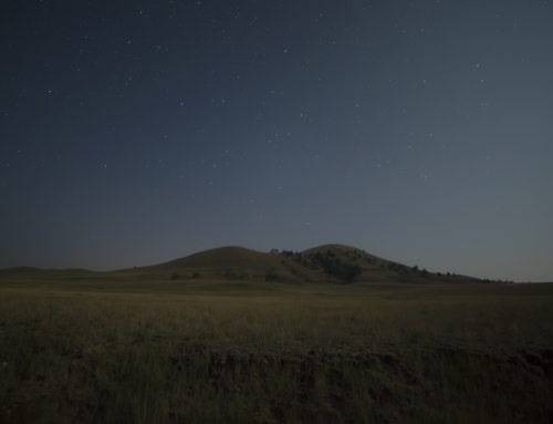 The First Kicks of Divine Life