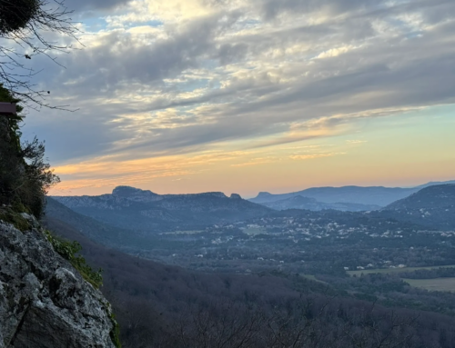 I Have Seen the Lord