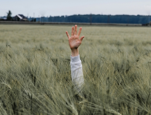 High Fives and the Final Judgment